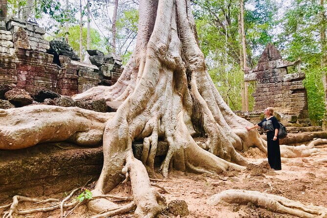 1-Day Angkor Wat Cycling Tour: Scenic Bike Adventure in Siem Reap - Ta Nei, a quieter forest temple