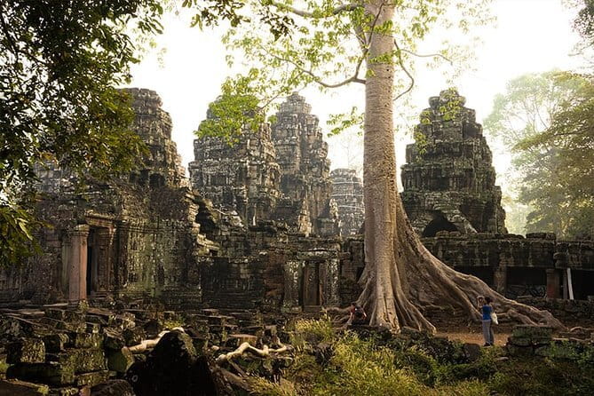 1-Day Angkor Wat Cycling Tour: Scenic Bike Adventure in Siem Reap - Ta Prohm and the appeal of the jungle setting
