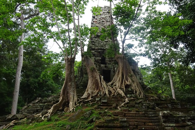 1-Day Angkor Wat Sunrise & All Interesting Temples Private Tour - What the private vehicle and guide add