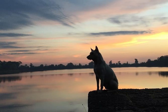 1 Day Angkor Wat with Sunrise Tour - Bayon puts the faces at the center