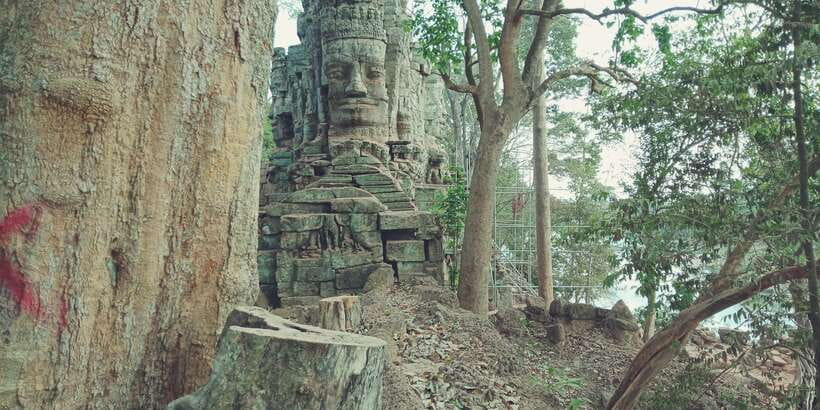 1-Day private Angkor Temple Tour from Siem Reap - Baphuon, Phimeanakas, and the royal terraces