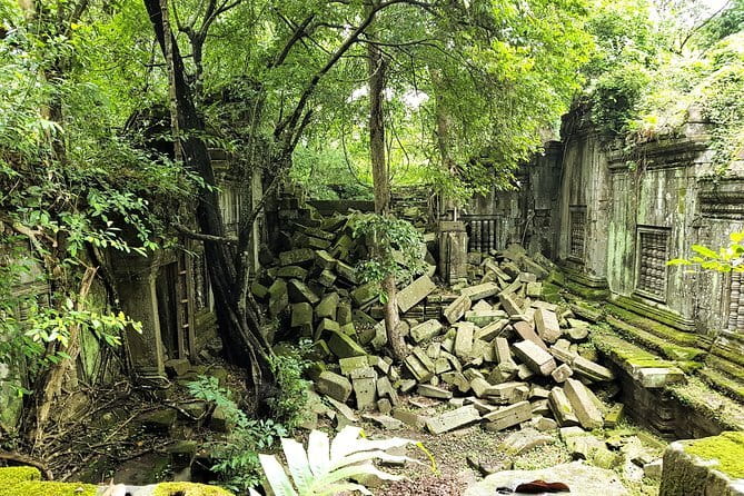 1 day special Tour: Angkor Wat,Bayon,Ta Prohm, Bantey srei and Beng Mealea - The five reasons this day works