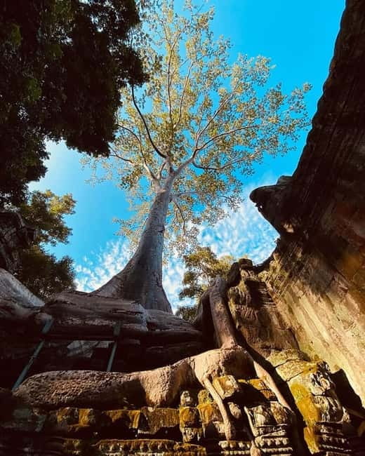 1-Day Trip to Angkor Wat with a Private or Shared Guide in Spanish - Victory Gate and the Angkor Thom terraces