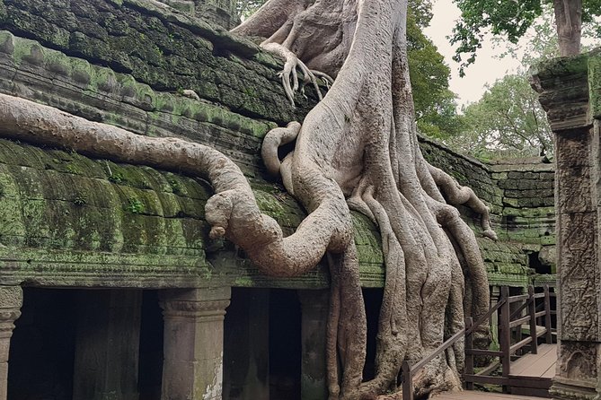 1day Private tour, Angkor sunrise,all main temples, Banteay srei - What the private guide adds