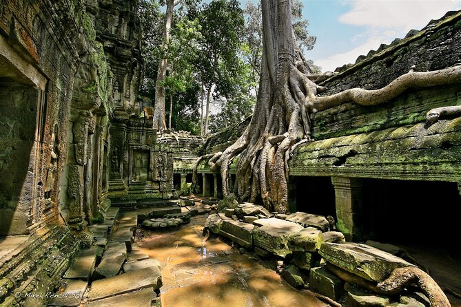 1day private tour to all majestic Temples in Angkor and Sunset - The Terraces of Elephants and the Leper King