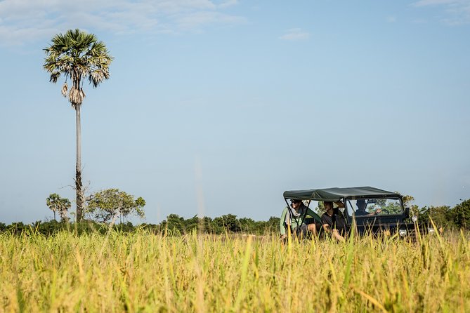 2-Day : Angkor Sunrise, Kompong Phluk Sunset & Banteay Srei Tour - Srah Srang and a useful breakfast stop