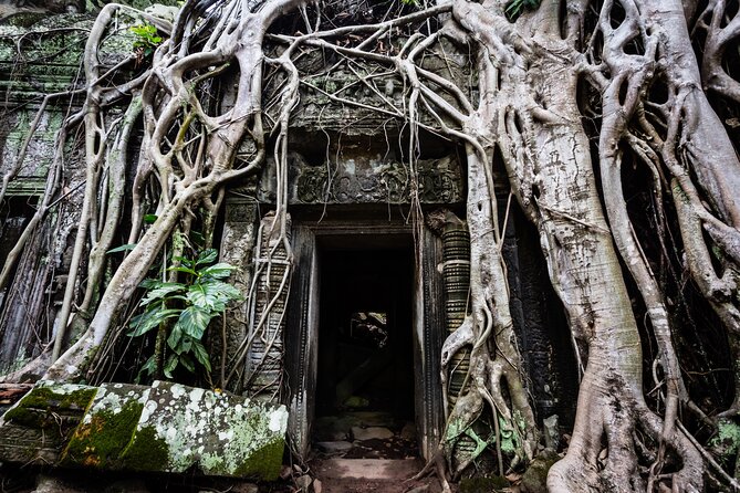 2-Day : Angkor Sunrise, Kompong Phluk Sunset & Banteay Srei Tour - Five quieter temples for the second stretch