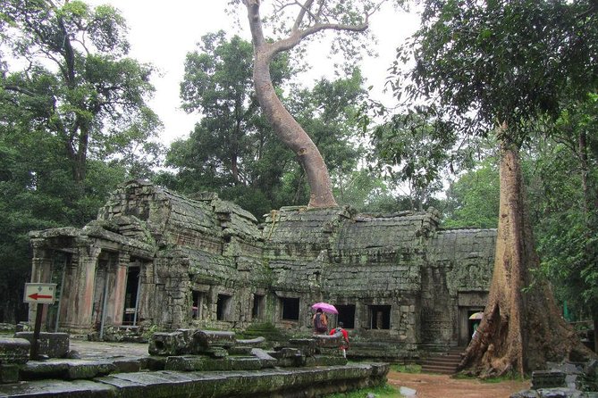 2-Day 'Angkor & Village' Tour - Ta Prohm and the appeal of ruins left rough