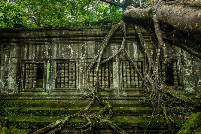 3-Day Angkor Wat with All Interesting Major Temples, Banteay Srei & Beng Mealea - Day two: sunrise, the grand circuit, and Banteay Srei