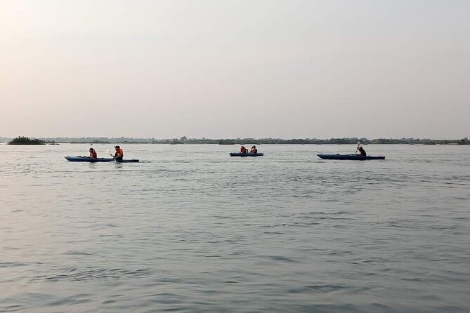 4 hours taking tuk tuk to see Mekong dolphins and countryside - What the $20 price really buys you