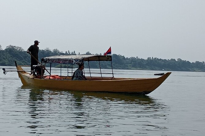4 hours taking tuk tuk to see Mekong dolphins and countryside - Who should book this Kratie outing