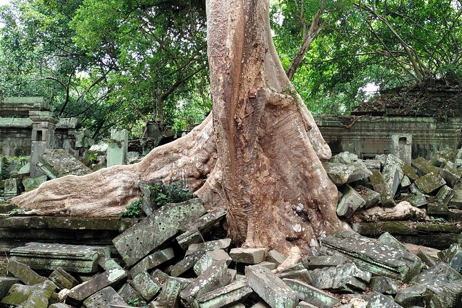 A Day Angkor Wat Sunrise Tour, Ta Prohm & Hidden Gems Beng Mealea - Beng Mealea, the rougher final temple