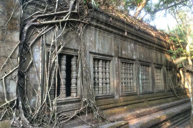 A Day Angkor Wat Sunrise Tour, Ta Prohm & Hidden Gems Beng Mealea - What the guide and driver add