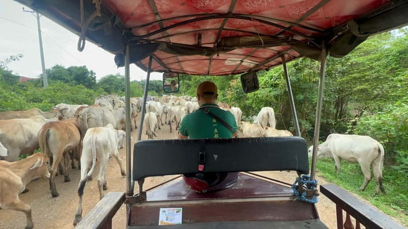 A day tour through Battambang/Local area and landmarks - A Local Afternoon Begins in Battambang