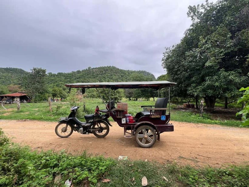 A day tour through Battambang/Local area and landmarks - Fruit Farms, Lotus Fields, and Rice Planting