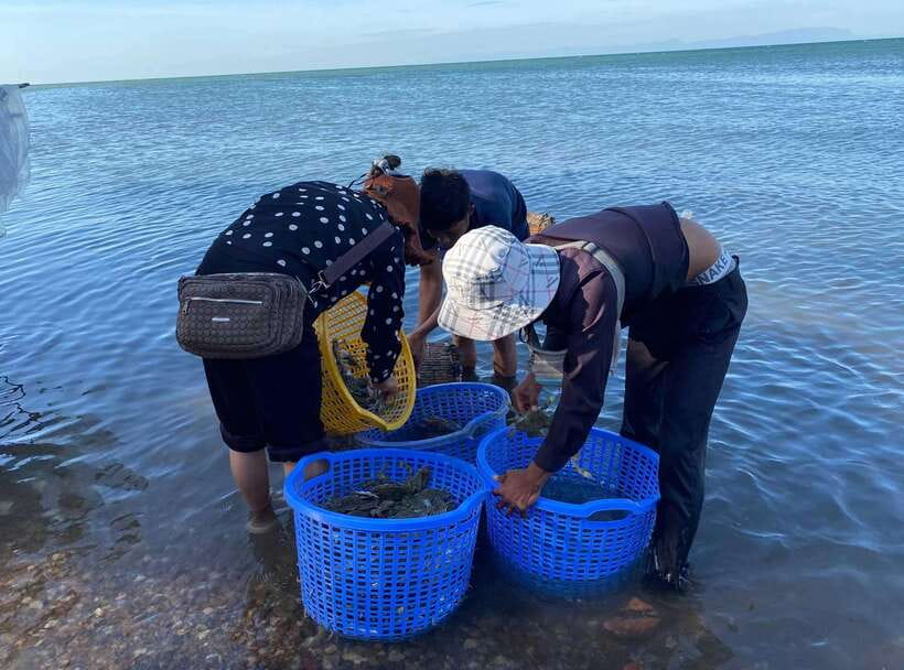 A Day Trip to Kep Beach and Kampot from Phnom Penh - Salt fields and the best months for production