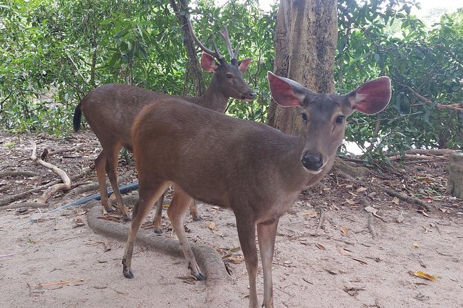 A Day Trip To Phnom Chisor - Tonle Batti From Phnom Penh - Tonle Bati and Ta Prohm by the lake