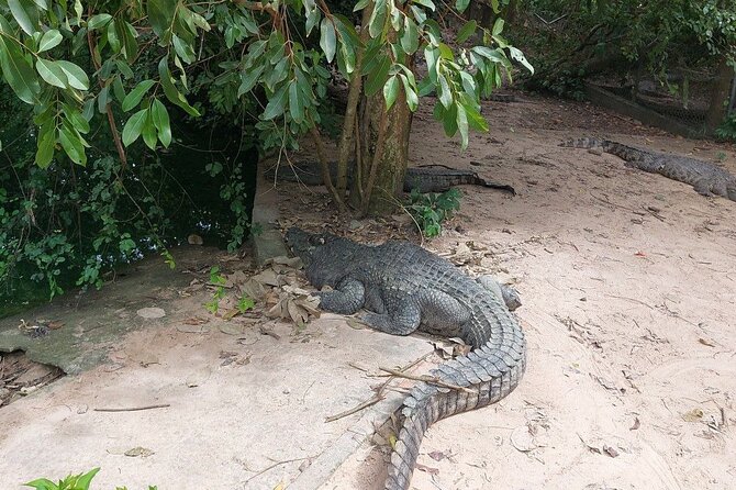 A Day Trip To Phnom Chisor - Tonle Batti From Phnom Penh - What the $61 price really covers