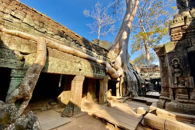 Angkor Cab: Siem Reap 3 day private tour: 'off the beaten track' - Who should book this Angkor tour?