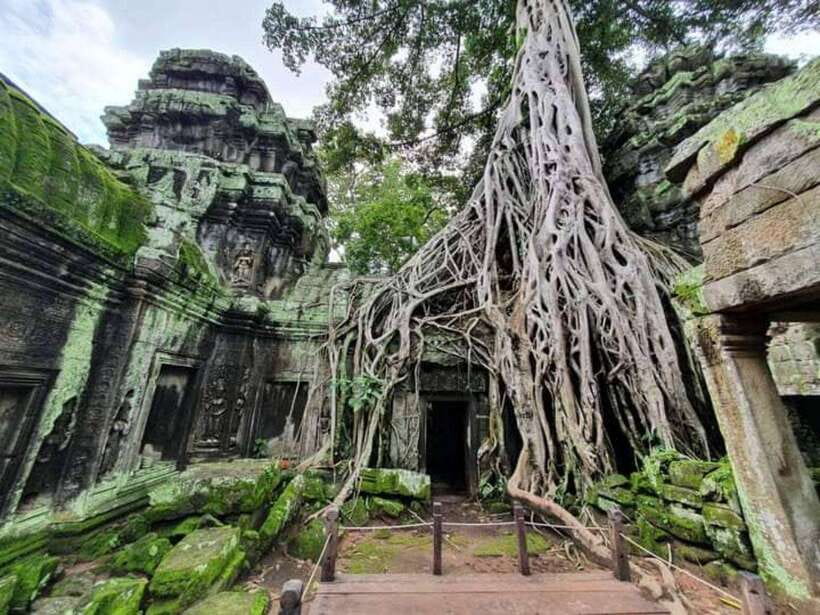 Angkor Cycling Tour - Ta Prohm and the Jungle-Covered Ruins