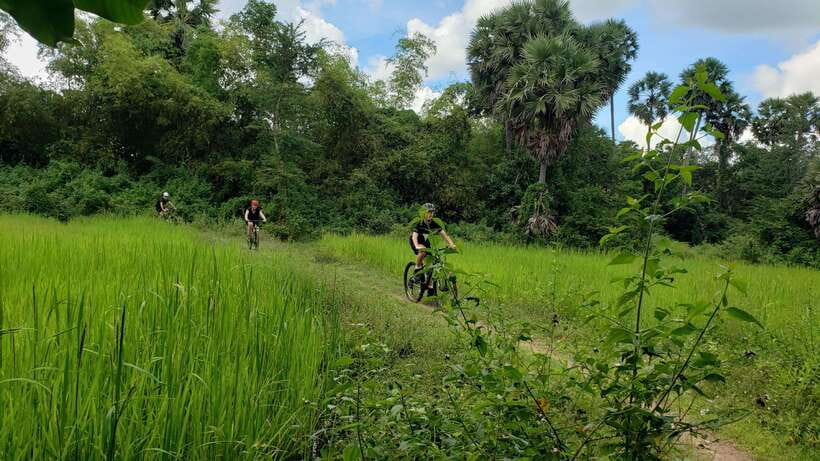 Angkor Jungle Biking Adventure Private Cycling Tour - Ta Prohm and the Tomb Raider setting