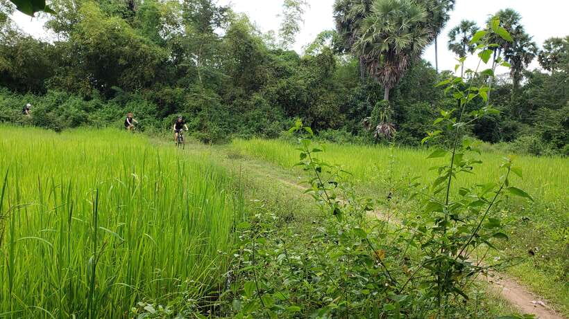 Angkor Jungle Biking Adventure Private Cycling Tour - What the guide adds to the ride