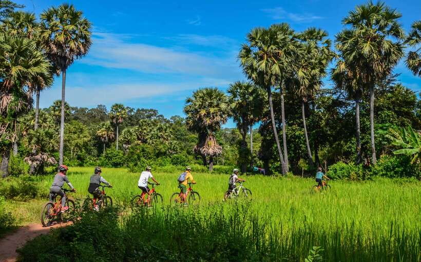 Angkor Jungle Biking Adventure Private Cycling Tour - Who gets the best value from $22
