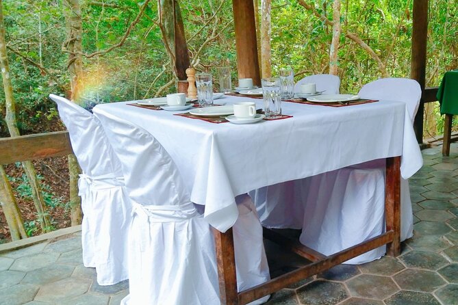Angkor Sunrise Bike Tour - Breakfast & Lunch included - Ta Prohm, where trees take over the ruins