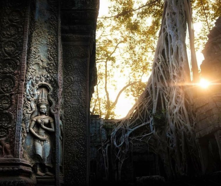 Angkor Sunrise or Sunset Tour (includes breakfast or lunch) - How the guides shape the experience