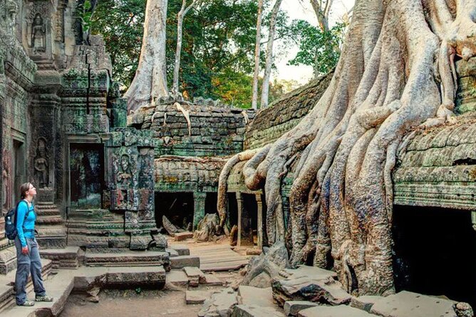 Angkor Sunrise Small Group Tour Inclusive Breakfast and lunch - Ta Prohm and the appeal of rougher ruins
