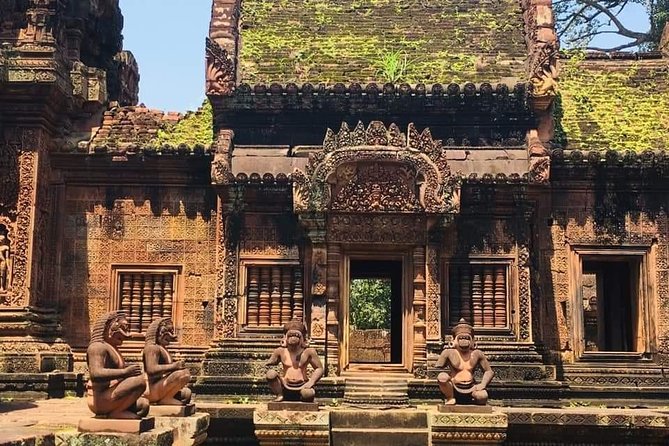 Angkor Temple Sunrise Half Day Tour - The early start, transport, and group size