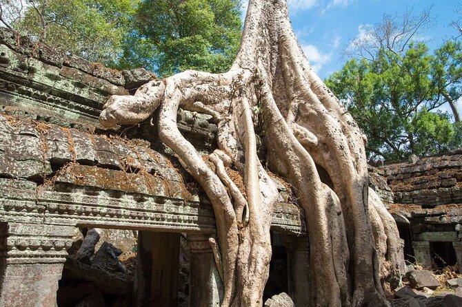 Angkor Thom Ta Prohm and Sunset in Angkor Wat Golden Hour Tour - Is $29 a good deal?