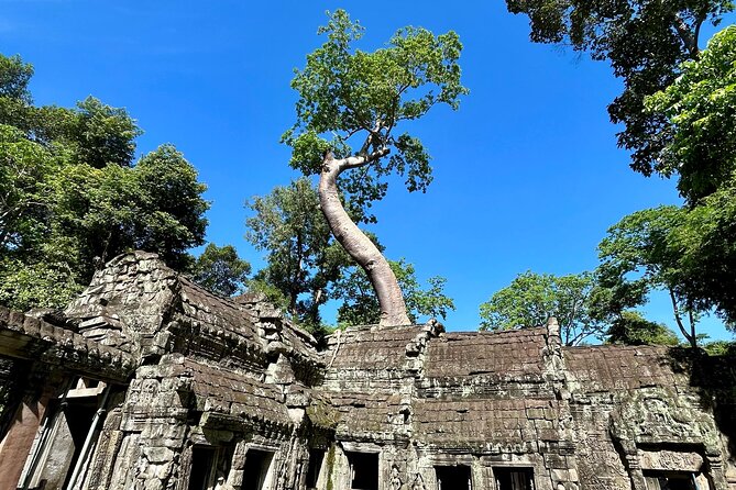 Angkor Wat 1-Day Tour by Private Car or Minivan - Who gets the best value at $135