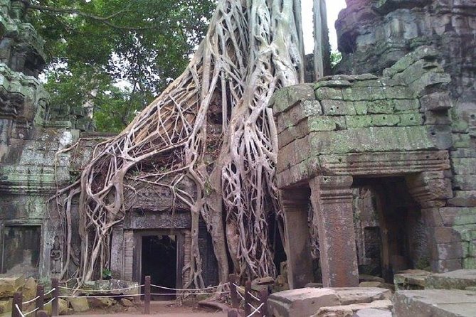 Angkor Wat 2-Day Tour - South Gate and the road into Angkor Thom
