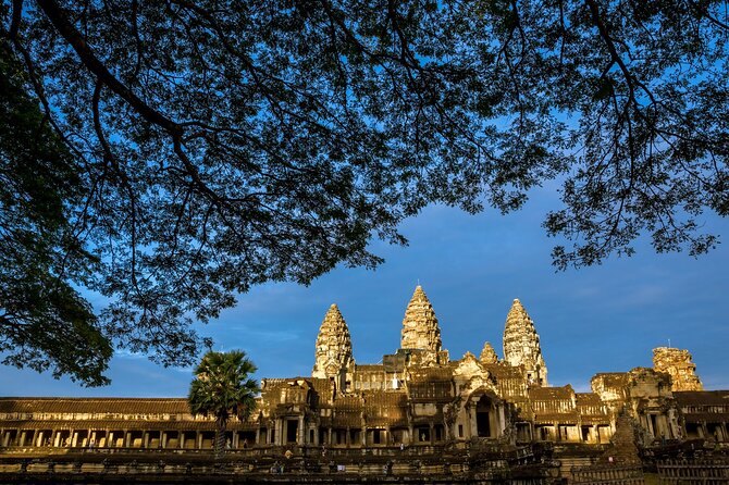 Angkor wat and Small group temples Full day tours - Ta Prohm: trees, ruins, and a slower hour