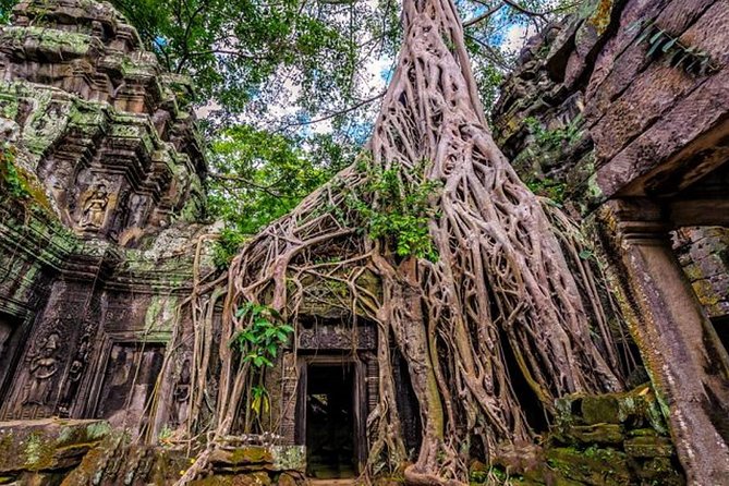Angkor wat and Small group temples Full day tours - What the guide can add to the day