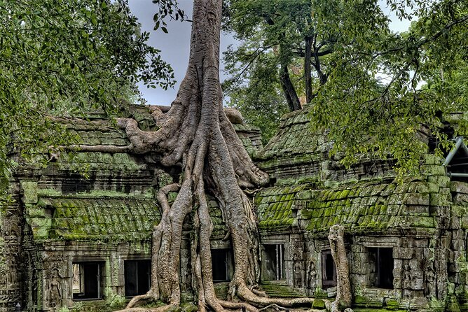 Angkor Wat, Angkor Thom & Elephant Terrace Half-Day Tours - What this four-hour Angkor tour is really like