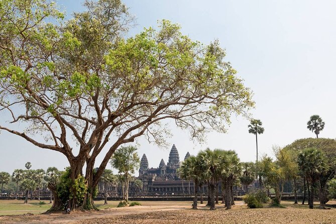 Angkor Wat, Angkor Thom & Elephant Terrace Half-Day Tours - A quick look at the Elephant Terrace