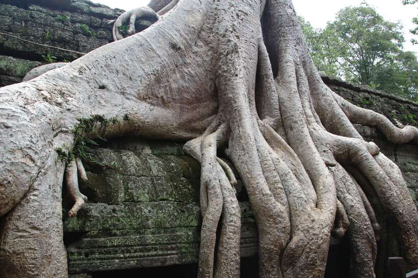 Angkor Wat Full-Day Private Tour with Sunset - The Real Cost and What You Receive