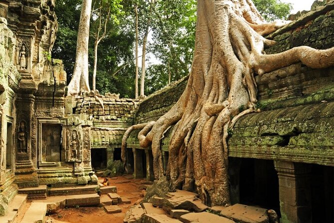 Angkor Wat full Day 'Small Group with sunset & Tour Guide - What the $14.50 price really covers