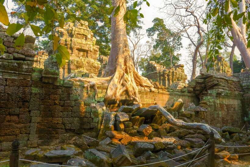Angkor Wat: Full-Day Temples Small Group Tour - Ta Prohm and the famous jungle setting