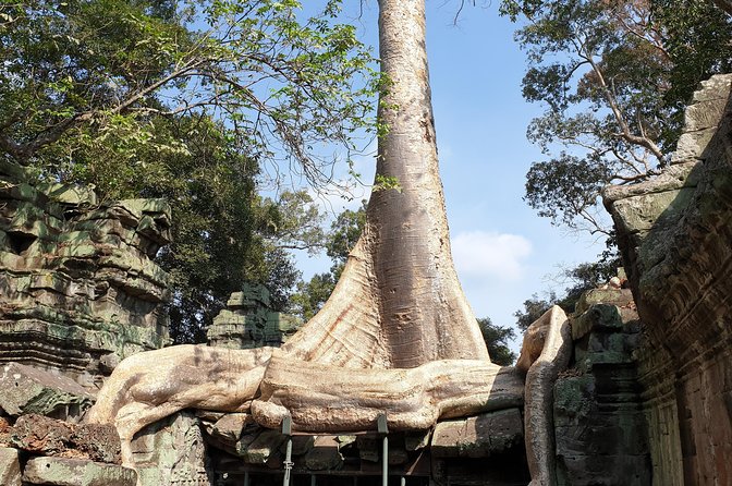 Angkor Wat Full Day Tour in Siem Reap Small-Group - What this $25 Angkor Wat tour really includes