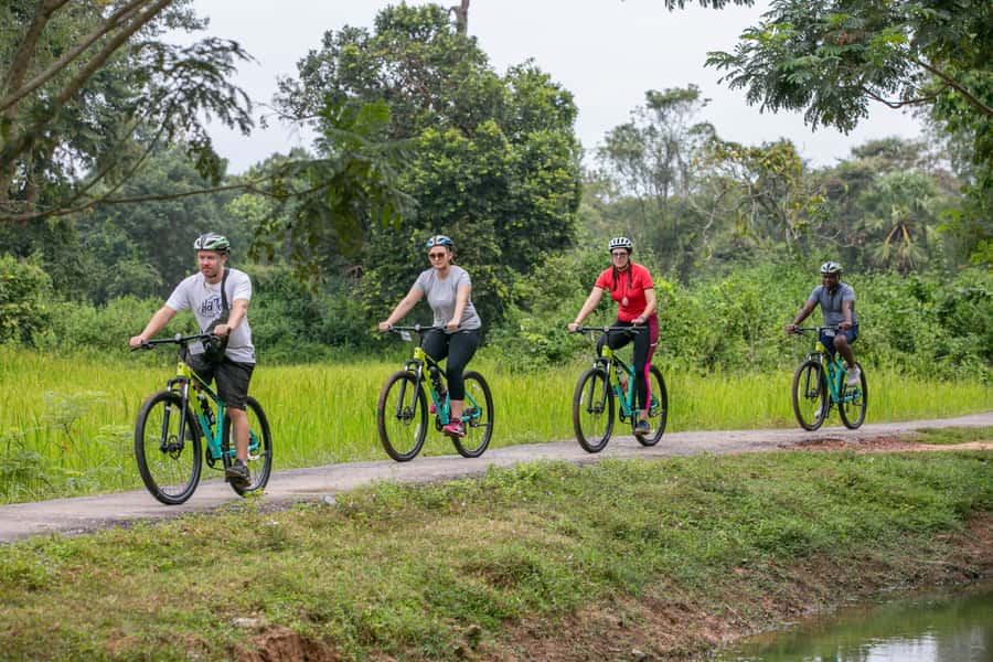 Angkor Wat: Guided Sunrise Bike Tour w/ Breakfast and Lunch - Ta Prohm and the forest setting