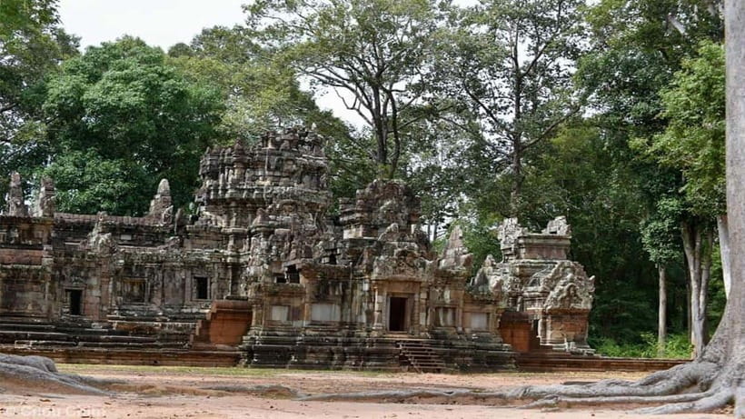 Angkor Wat Guided Sunrise Tour - Ta Prohm and the tree roots