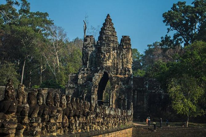 Angkor Wat highlight Tour From Sunrise -Small Group - Ta Prohm, where the jungle changes the mood