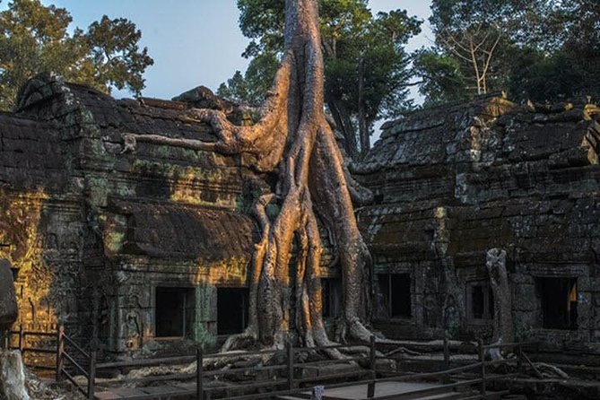 Angkor Wat highlight Tour From Sunrise -Small Group - What the $18 price really covers