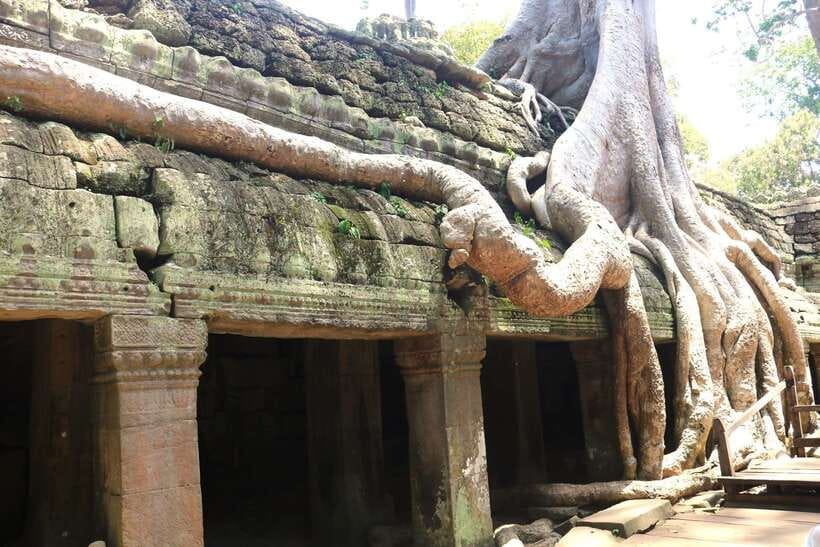 Angkor Wat: Highlights and Sunrise Guided Tour - Transport, guide quality, and the small comforts