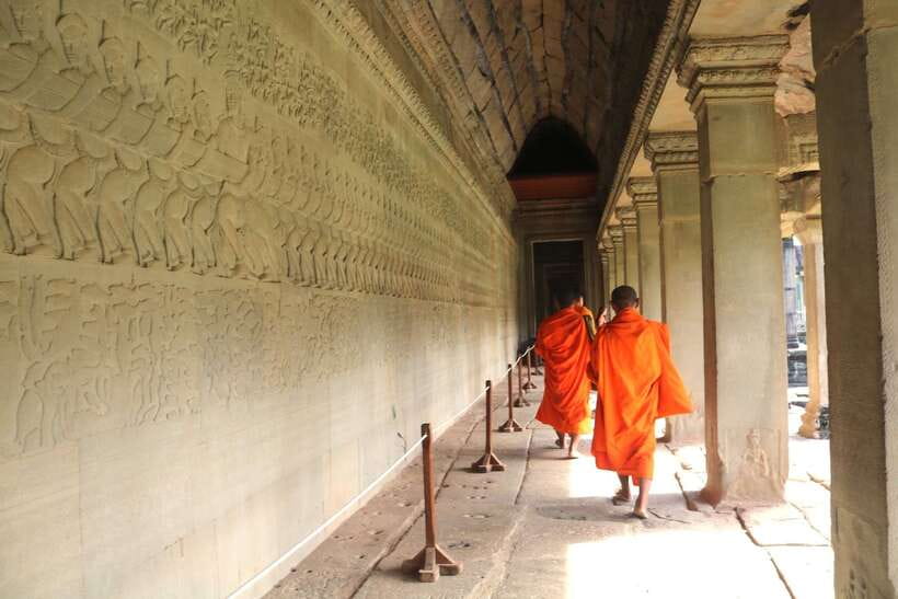 Angkor Wat: Highlights and Sunrise Guided Tour - Ta Prohm and the trees over the ruins