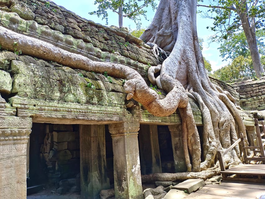 Angkor Wat: Highlights and Sunrise with Spanish Guide - Ta Prohm, where the jungle takes over