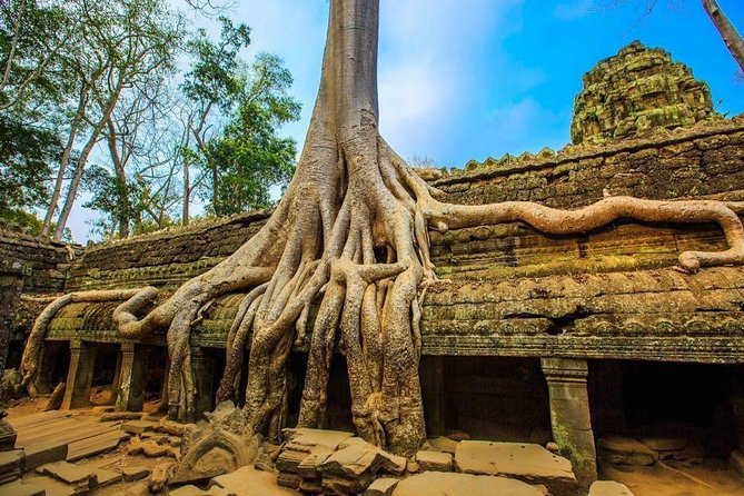 Angkor Wat one Day Private Tour for All Highlight Angkor Temples - The Elephants and Leper King terraces